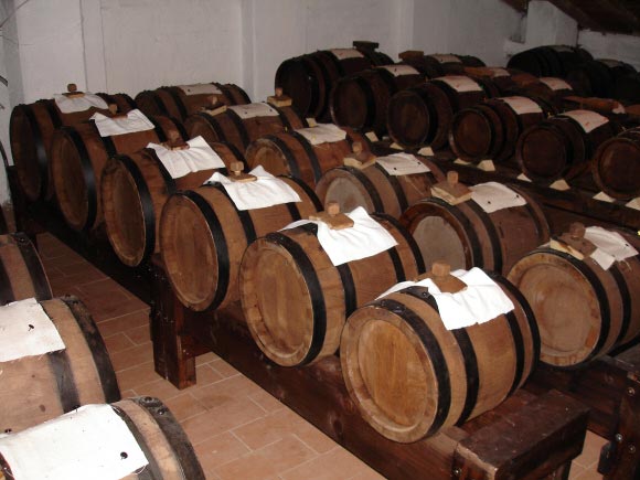 vinegar producers of modena